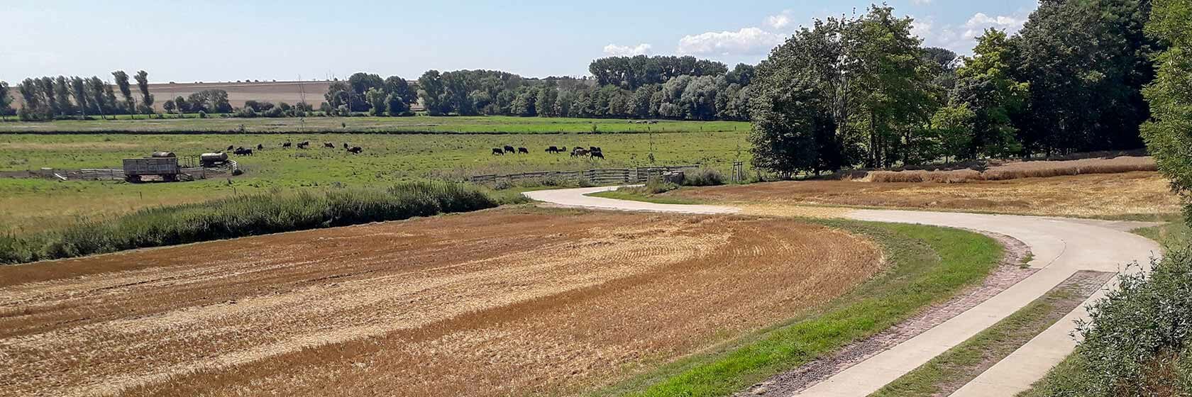 Bodenordnungsverfahren Domersleben-Feldlage