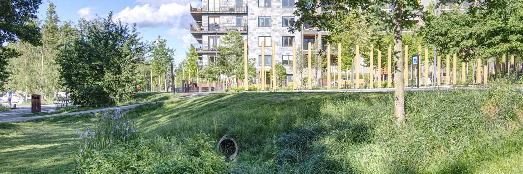 Schwammstadtprinzip – Die blau-grüne Infrastruktur als Instrument zur Klimaanpassung im urbanen Raum am Beispiel der Stadt Stockholm