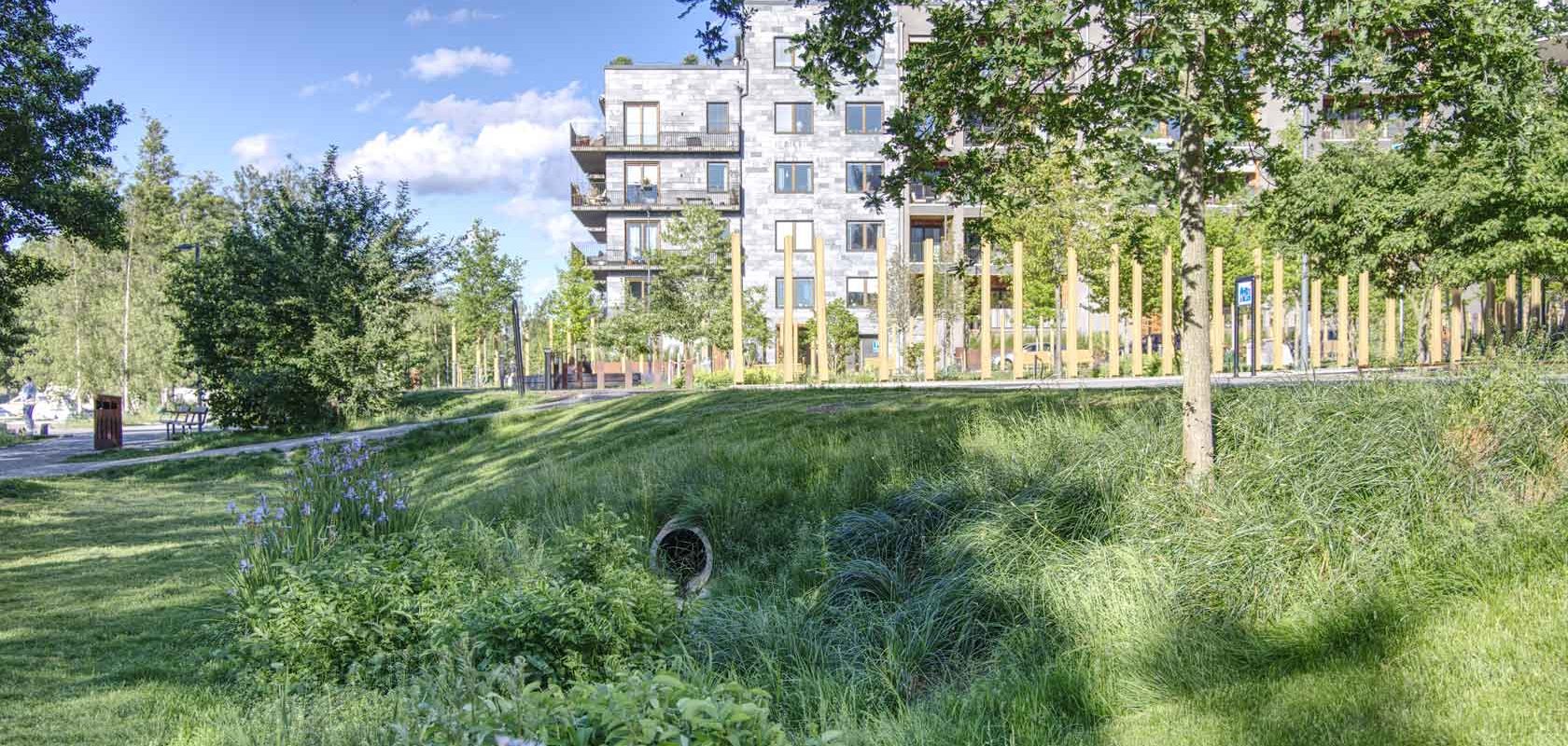 Schwammstadtprinzip – Die blau-grüne Infrastruktur als Instrument zur Klimaanpassung im urbanen Raum am Beispiel der Stadt Stockholm