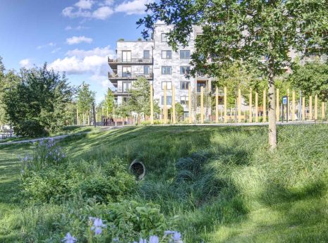 Schwammstadtprinzip – Die blau-grüne Infrastruktur als Instrument zur Klimaanpassung im urbanen Raum am Beispiel der Stadt Stockholm