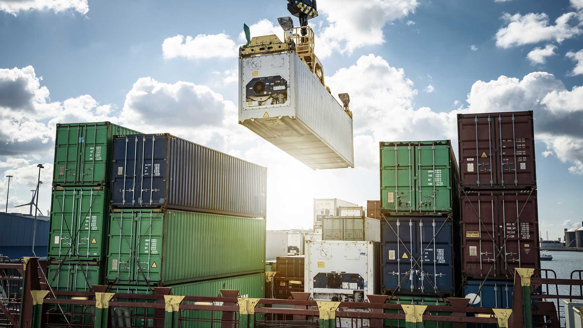 Biodiversität: Wichtige Schritte für zukunftssichere Unternehmen