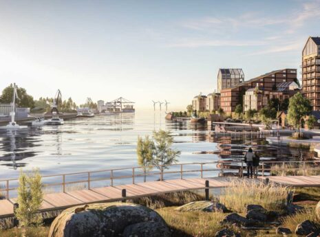 Biodiversität: Wichtige Schritte für zukunftssichere Unternehmen