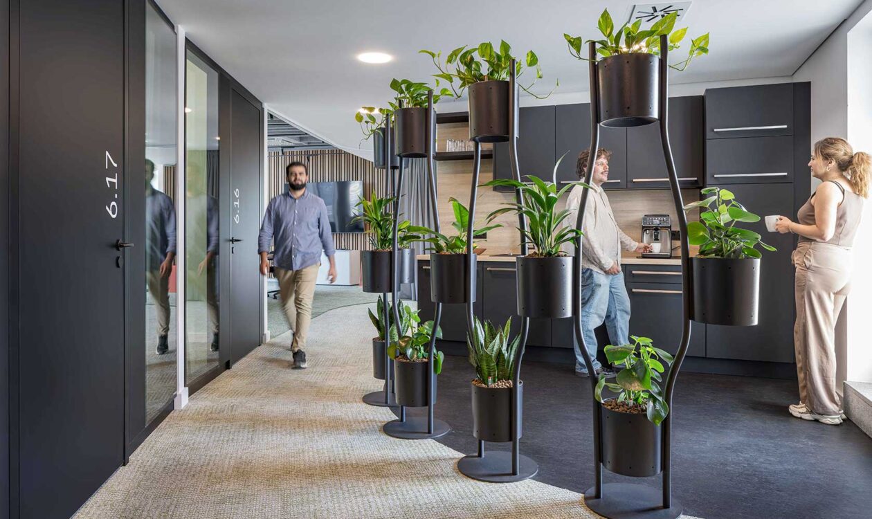 Neue Arbeitswelten Sweco Köln – Küchenbereich mit hängenden Pflanzentrennwänden